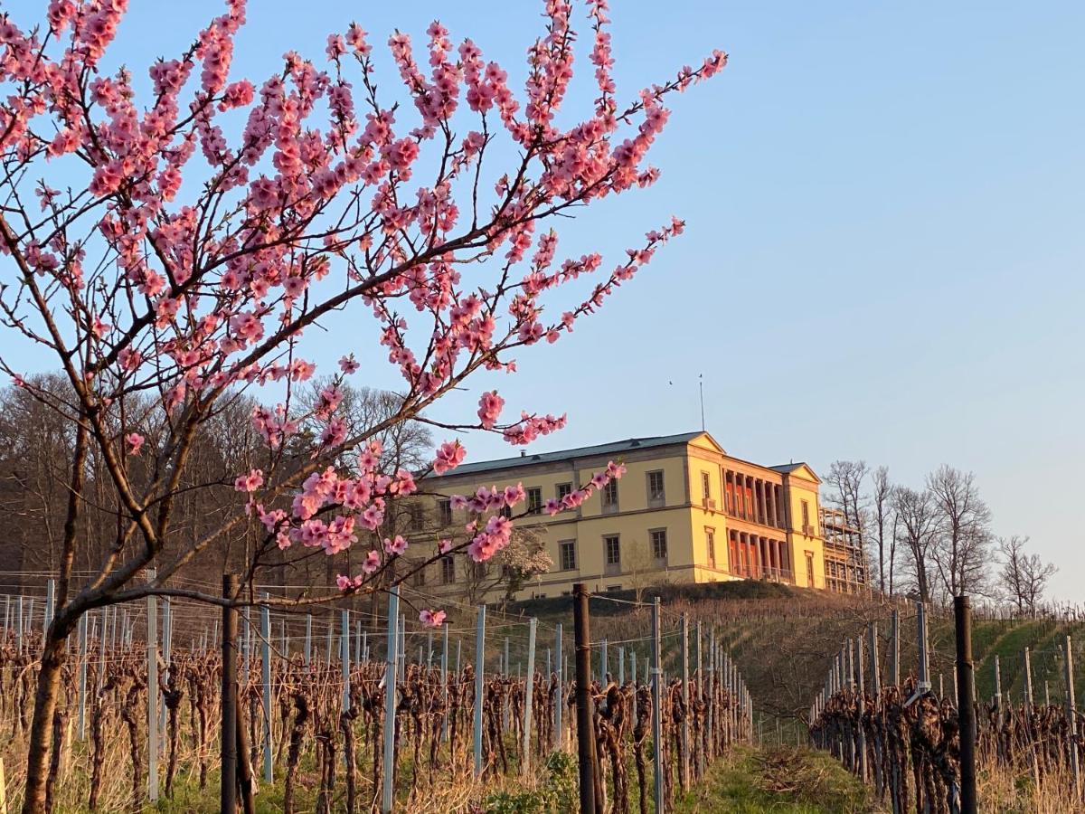 Ferienhaus Pfaelzer Wald Weyher Apartment Luaran gambar